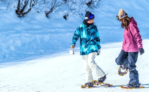 未使用 スノーシュー Snowxu コラプシブル  折りたたみ スノーハイキング トレッキング アウトドア 楽天市場】【新古品】スノーシュー Snowxu コラプシブル
